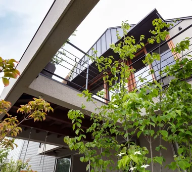 あざみ野の住まい｜木製サッシのある家｜ルームツアー｜注文住宅