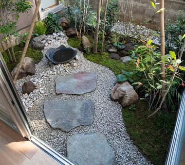 A house full of green｜植物と暮らす家｜ルームツアー｜注文住宅