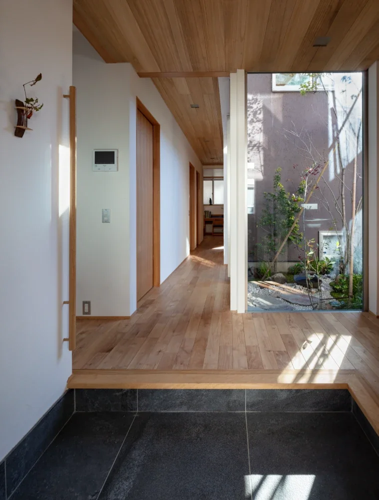 A house full of green