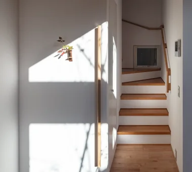 A house full of green｜植物と暮らす家｜ルームツアー｜注文住宅