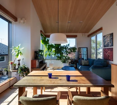 A house full of green｜植物と暮らす家｜ルームツアー｜注文住宅