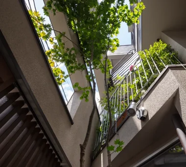滝野川の住まい｜ルーフバルコニーのある家｜ルームツアー｜注文住宅