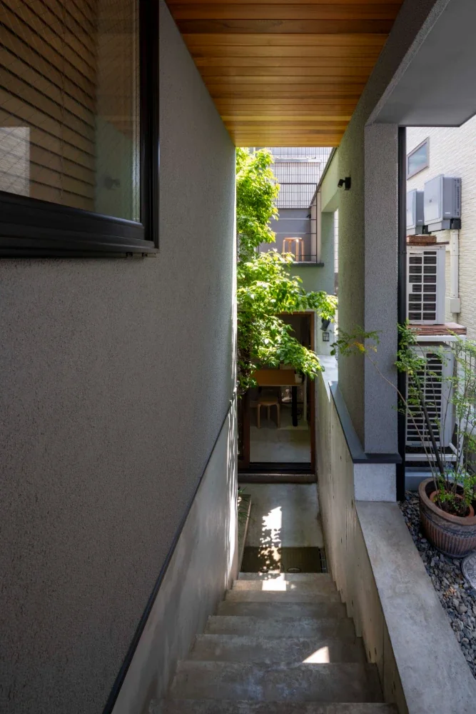 MIDORICHO PROJECT