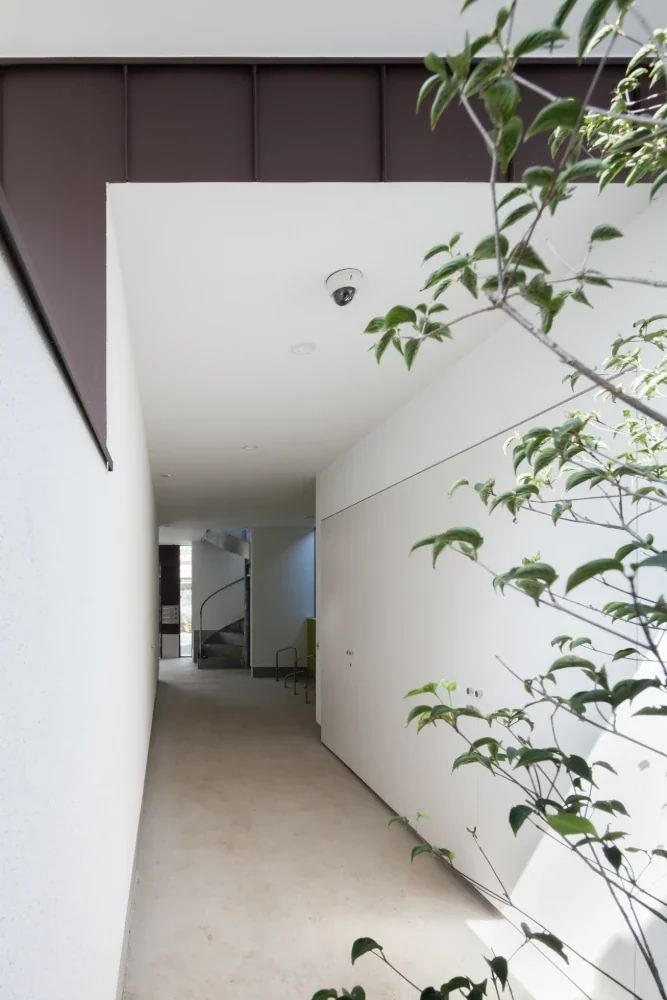 APARTMENT BIBIAS