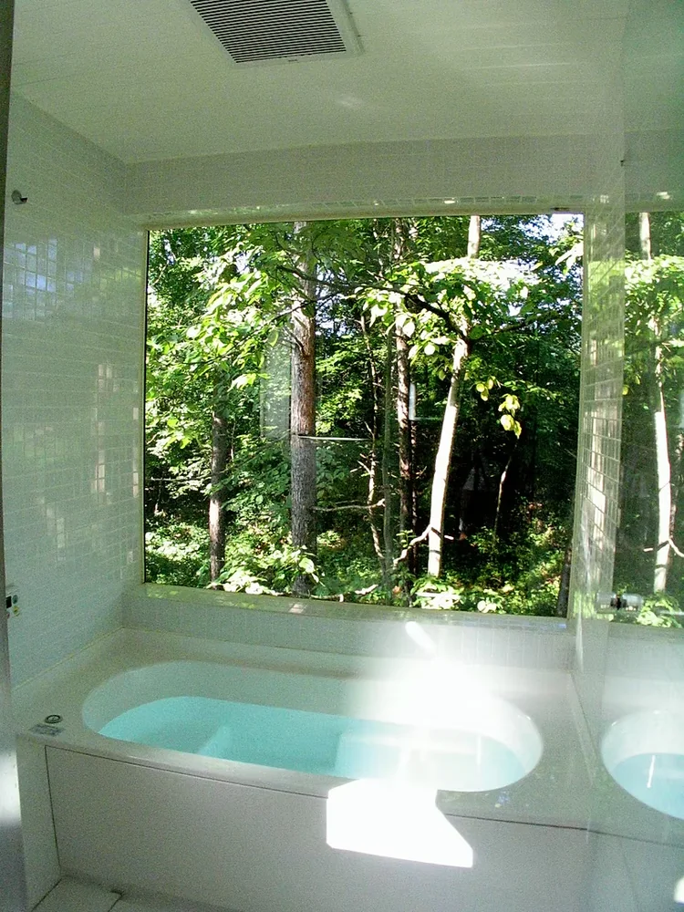 View of deep verdant greenery from the bathroom